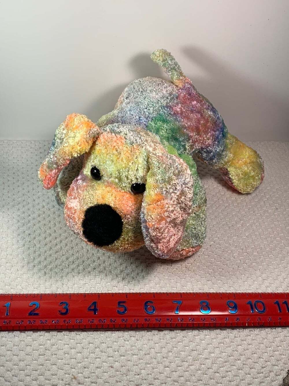 Tie dye puppy